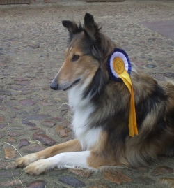 Gerne trägt Mia die goldenene Schleife stolz nach Hause!