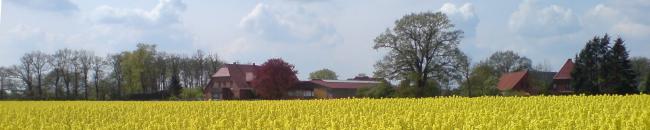 Hof Clasen hinter einem Rapsfeld