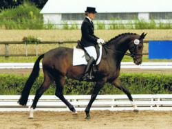 Isabel mit Hecate (v. Hofrat aus der SPS Wintersong v. Weltmeyer Bes Mare Meadows)